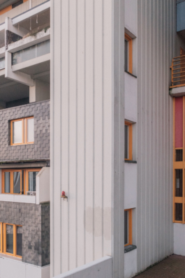 DANIEL RODRIGUEZ | Photography