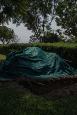 DANIEL RODRIGUEZ | Photography