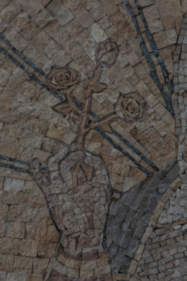 DANIEL RODRIGUEZ | Photography