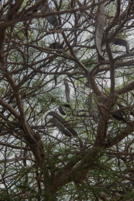 DANIEL RODRIGUEZ | Photography