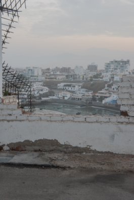 DANIEL RODRIGUEZ | Photography