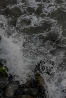 DANIEL RODRIGUEZ | Photography