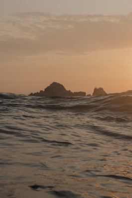 DANIEL RODRIGUEZ | Photography