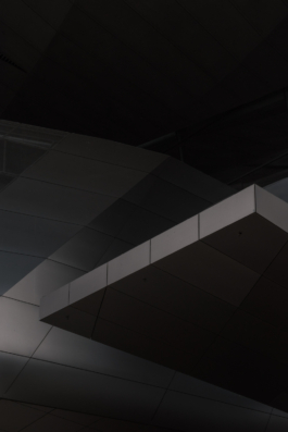 DANIEL RODRIGUEZ | Photography