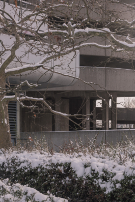 DANIEL RODRIGUEZ | Photography