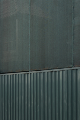 DANIEL RODRIGUEZ | Photography