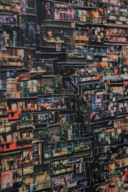 DANIEL RODRIGUEZ | Photography