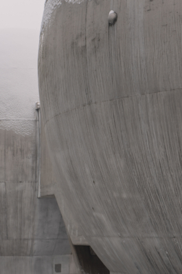 DANIEL RODRIGUEZ | Photography