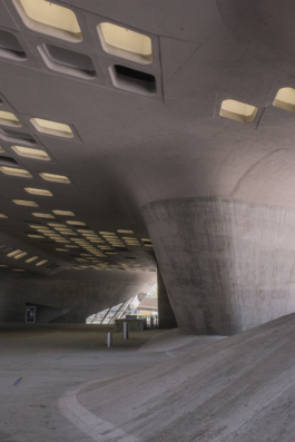 DANIEL RODRIGUEZ | Photography