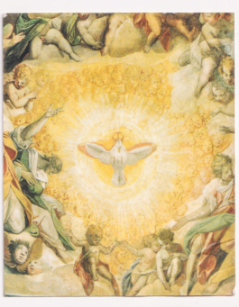 DANIEL RODRIGUEZ | Photography